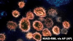 Pamja mikroskopike e koronavirusit.