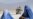Senior Afghan Woman Official Killed