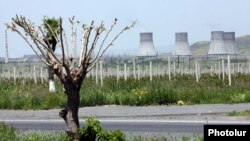 Metsamor AES