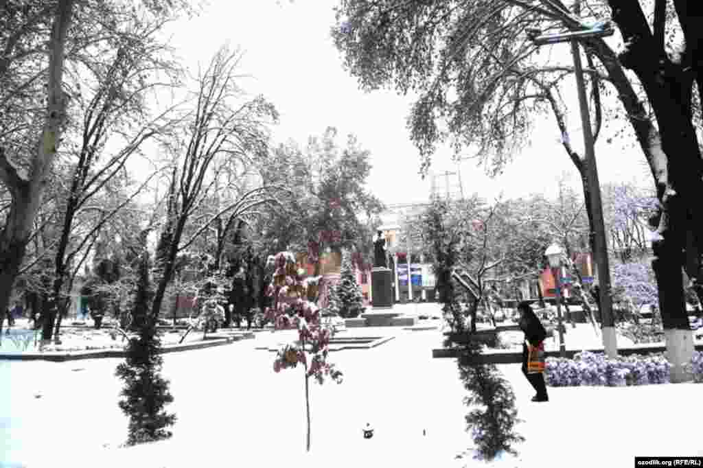 Up to 30 centimeters of snow fell in the Uzbek capital, Tashkent.