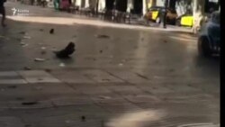 Barselonada terror aktı