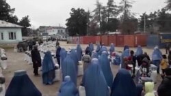 په فاریاب کې پر بې‌ځایه شویو کورنیو غنم وویشل شول