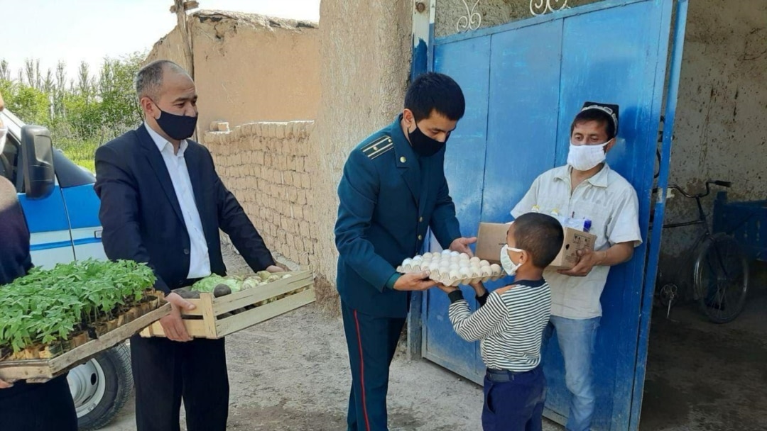 Сексуалдық натуристтік фильмдер