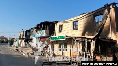 Қара жігіттер балапандарды сперматозоидпен толтырады