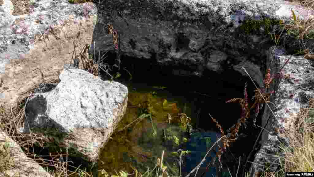 Застоявшаяся дождевая вода в тарапане &ndash; каменной давильне винограда