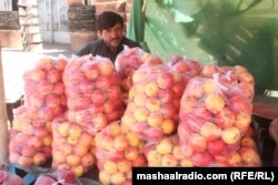 Az afgán gyümölcs lehet az egyik cserecikk: Paktia afgán tartomány almatermesztői arra panaszkodnak, hogy az utóbbi hónapokban visszaesett az üzlet