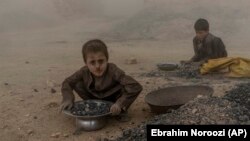 دو تن از کودکان یک خانواده بی‌بضاعت افغان که در شرایط دشوار در یکی از داش‌های خشت کارهای شاقه می‌کنند.