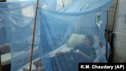 یک زن مبتلا به تب دِنگی در بیمارستانی در لاهور، پاکستان، در بخش ایزوله تحت درمان قرار گرفته‌ است