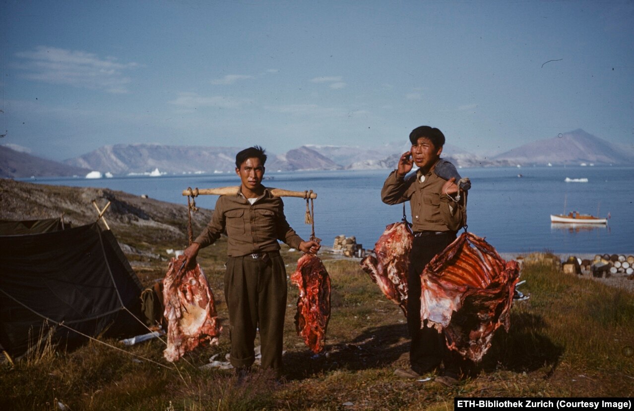 Burrat në Grenlandë në vitet 1950.