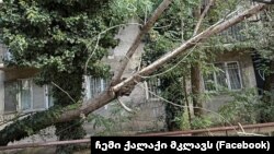 თბილისი, ტაშკენტის ქუჩა.