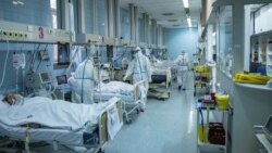 Lečenje obolelih od COVID-a 19, Zemun, Beograd