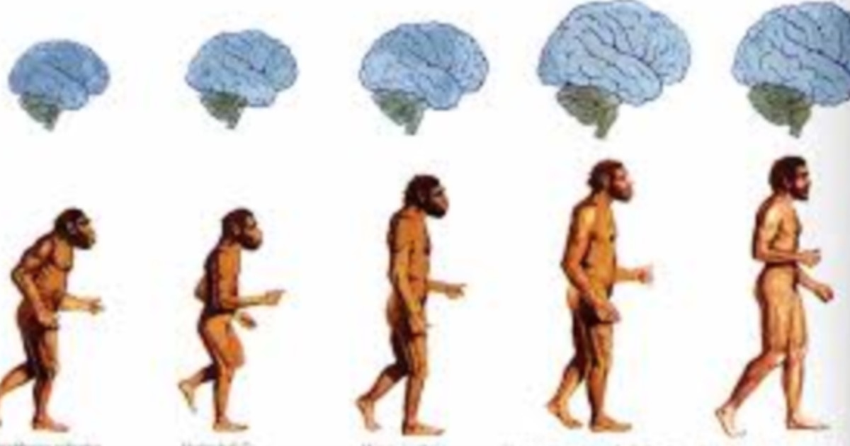 Цензурасыз аудармалары бар порно мультфильмдер