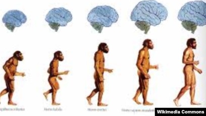 Орыс симпсондарымен жыныстық қатынас