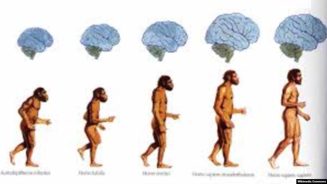 Katta jinsiy aloqa foto galereyasi