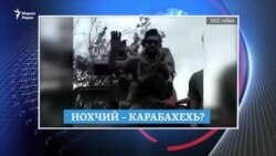 Хангошвили вер – кхелехь, аьшпаш – видео чохь, къонаха - Оэслницехь