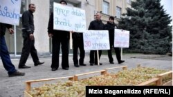 Кахетинские участники акции приехали в столицу не с пустыми руками