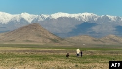 The Hindu Kush region is located in Afghanistan's Panjshir Province in the northeast of the country. 