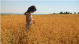 Moldova, Farmer Cristina Bejereanu in a wheat field, wheat