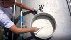 Një punëtor në një fabrikë të qumështit në Kosovë, gjatë kontrollit të produktit. 
