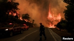 Vatrogasna služba u blizini požara u Agia Paraskevi u Grčkoj, 1. avgusta