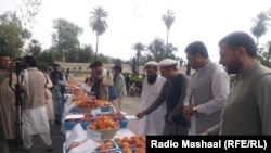 چارواکي وايي، په کروندګر دې په خپلو ځمکو د میوه لرونکو بوټو باغونه جوړ کړي.