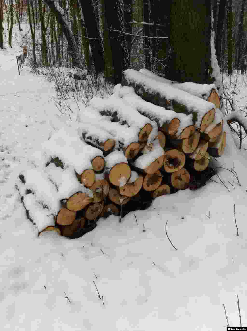 Дечиг цкъачунна долуш ду.