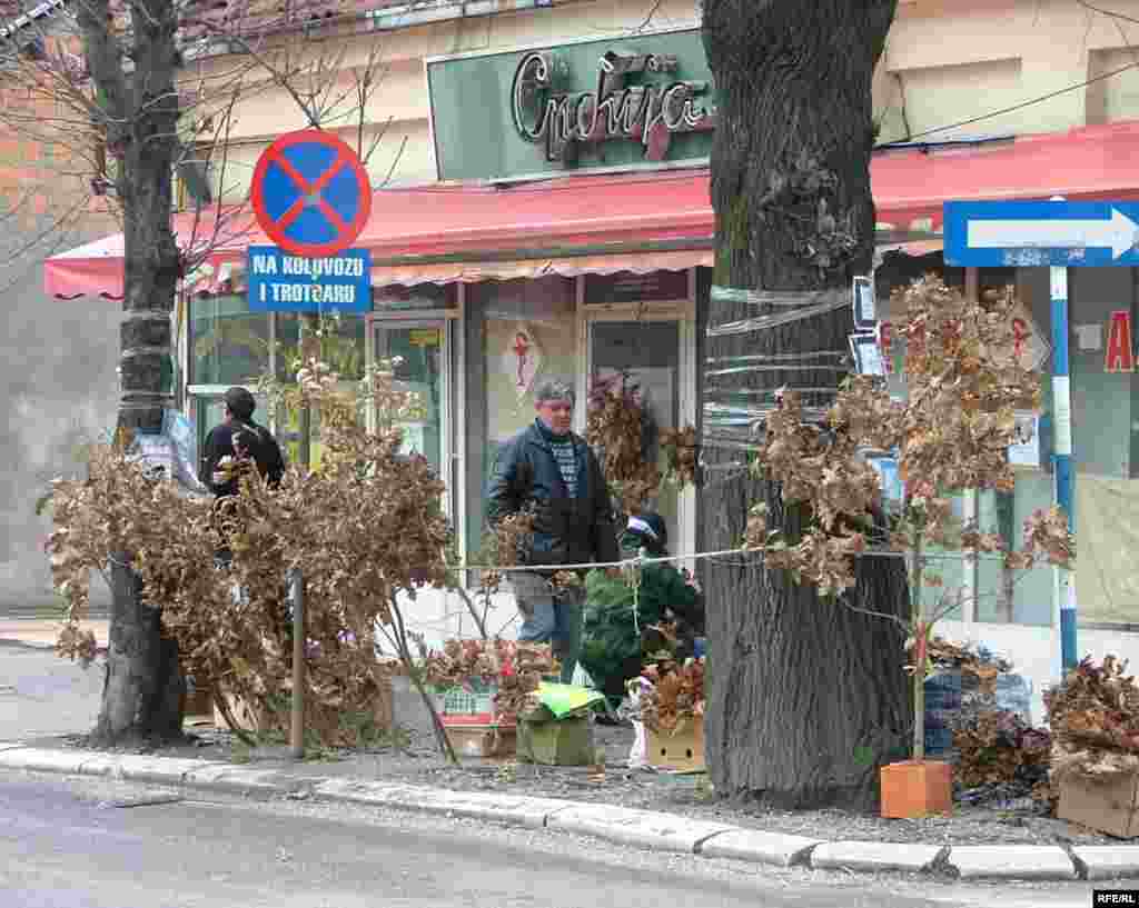 FOTO : Branko Vučković - Pred Božić se na ulicama svih gradovao prodavao badnjak, na fotografiji je prodaja badnjaka u Kragujevcu