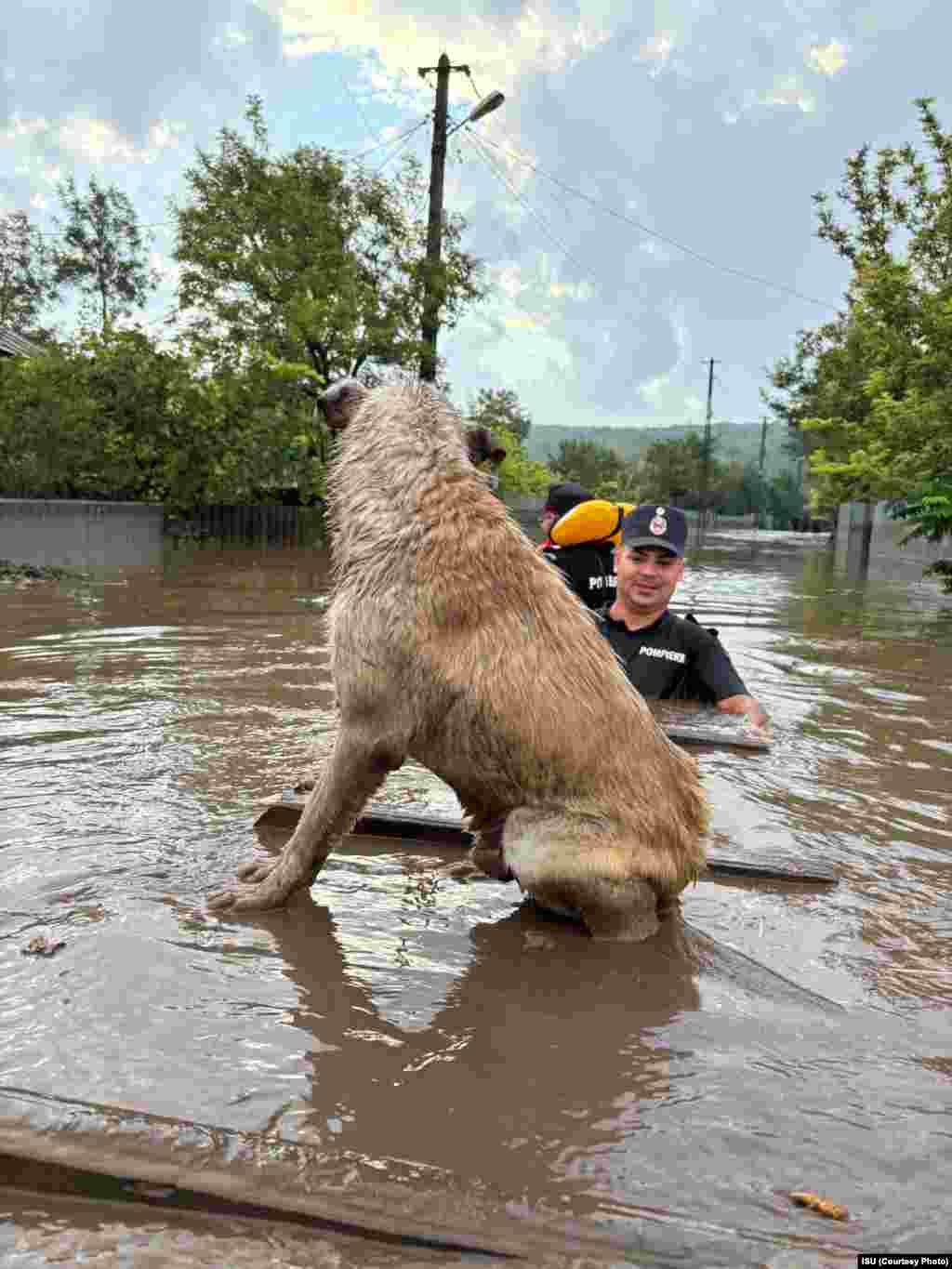  Un câine din localitate Cudalbi/jud. Galați este salvat de pompieri. &nbsp; 