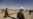 Kabul Launches Controversial Plan To Empower Militia Fighters As Police