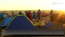 قاچاقبرعبدالله څنګه اروپا ته خلک بيايي؟