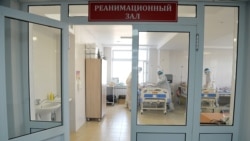 Власти Кыргызстана советуют лечить коронавирус отваром из корня ядовитого растения аконит