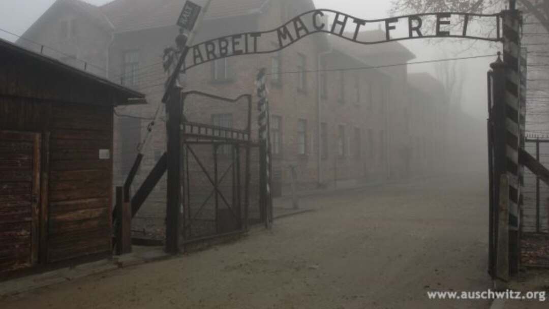 Теледидардағы жетілген порно