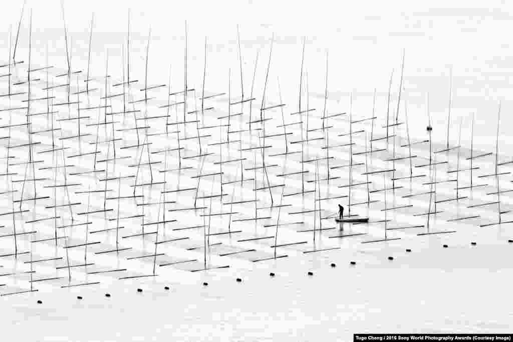 Photographer Tugo Cheng of Hong Kong: Farming At Sea Off the coast of southern China, a man fishes in an area constructed for aquaculture.