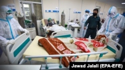 آرشیف٬ بیماران کووید-۱۹ در افغانستان