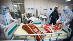 آرشیف، بیمار ویروس کرونا در افغانستان