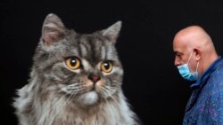 Prizor iz Beograda, Srbija