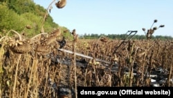 Напередодні також на Житомирщині впав дельтаплан, який здійснював обробку поля з соняшником, пілот загинув
