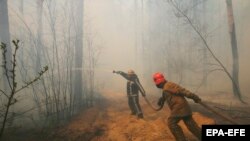 За даними уряду, у Чорнобильській зоні продовжують гасити пожежу, яка виникла 4 квітня