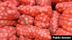 Казакстанга кайтарылган пияз.