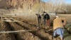 عبدالغفور: افغانستان به بانک زراعتی نیاز دارد تا بتواند از فعالیت کشاورزان حمایت کند