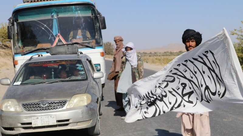 د زابل اوسیدونکي: طالبان د کلات دروازه کې تلاشي اخلي، د سقوط وېره یې لرو
