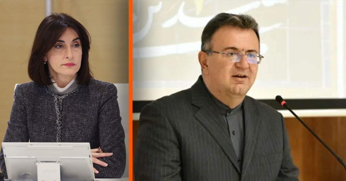 ბოჭორიშვილის თქმით, ირანის ელჩთანაც აქვთ 