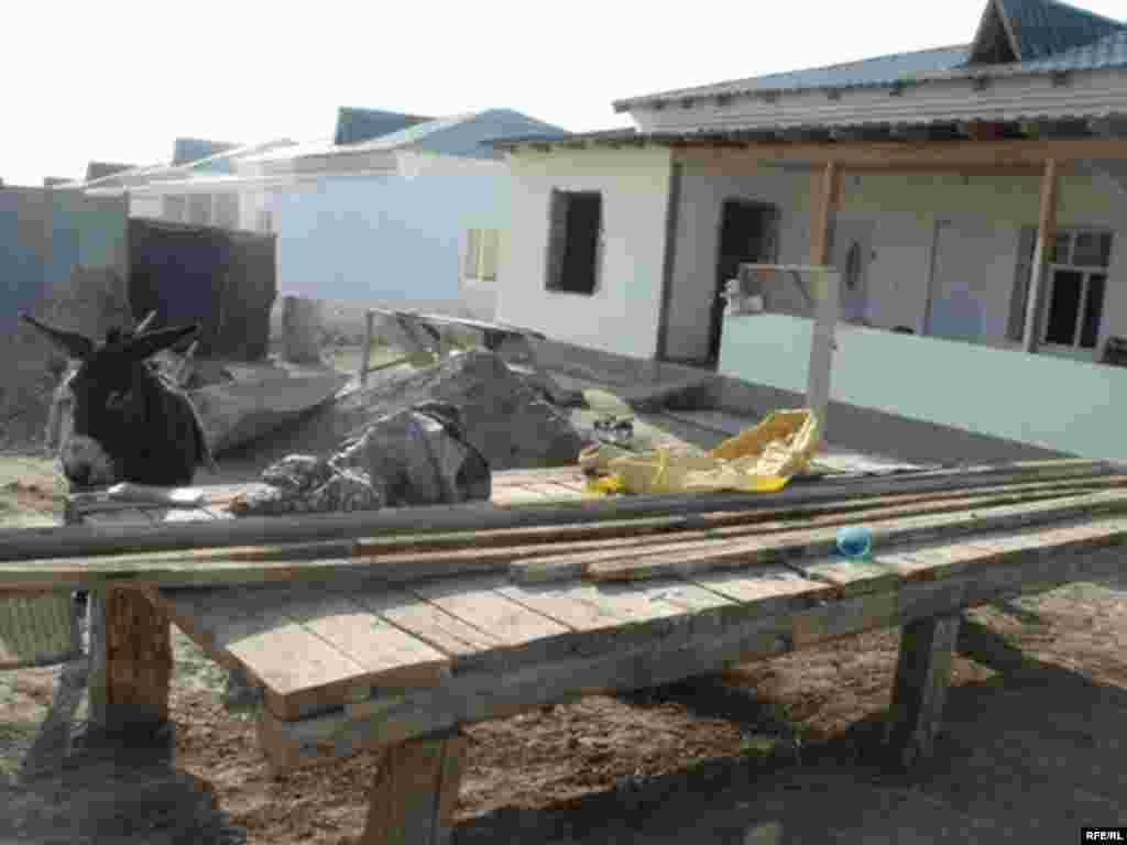 Кӯлоб пас аз як соли селхезӣ #45