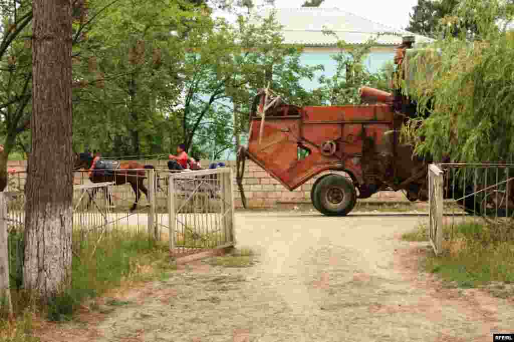 Sürgündə yaşayanlar #25