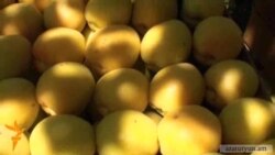 Օրվա տեսաշար, 18 հունիսի, 2013