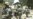 Debate Flares Over U.S. Security Pact