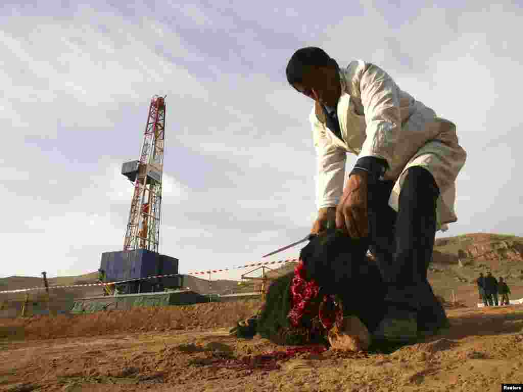 A man slaughters a sheep in front of a drilling tower near Dushanbe, Tajikistan. Photo by Nozim Kalandarov for Reuters