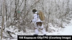 Український військовий поблизу Гуляйполя, Запоріжська область