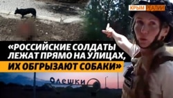 Сможет ли армия России удерживать Олешки в Херсонской области? (видео)