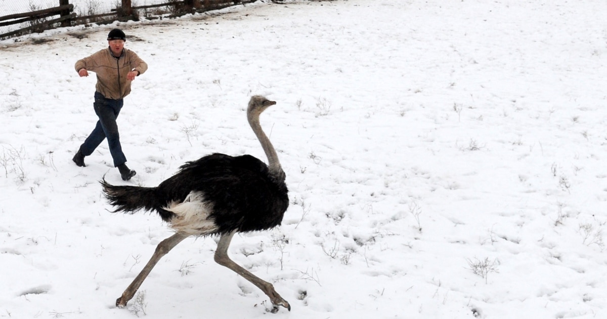 Әлемдегі сексуалды қыз